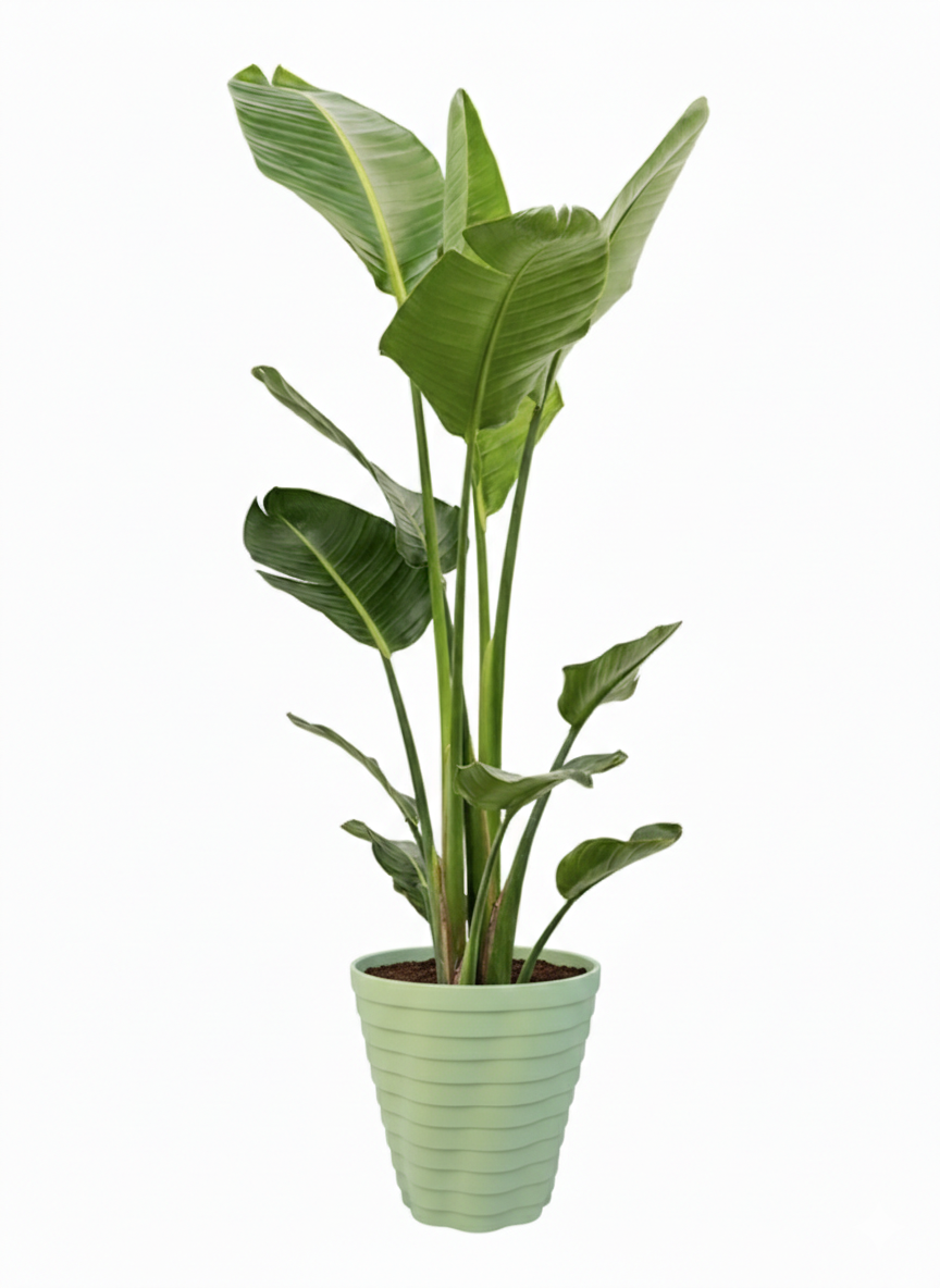 TEMPO Self-Watering Planter