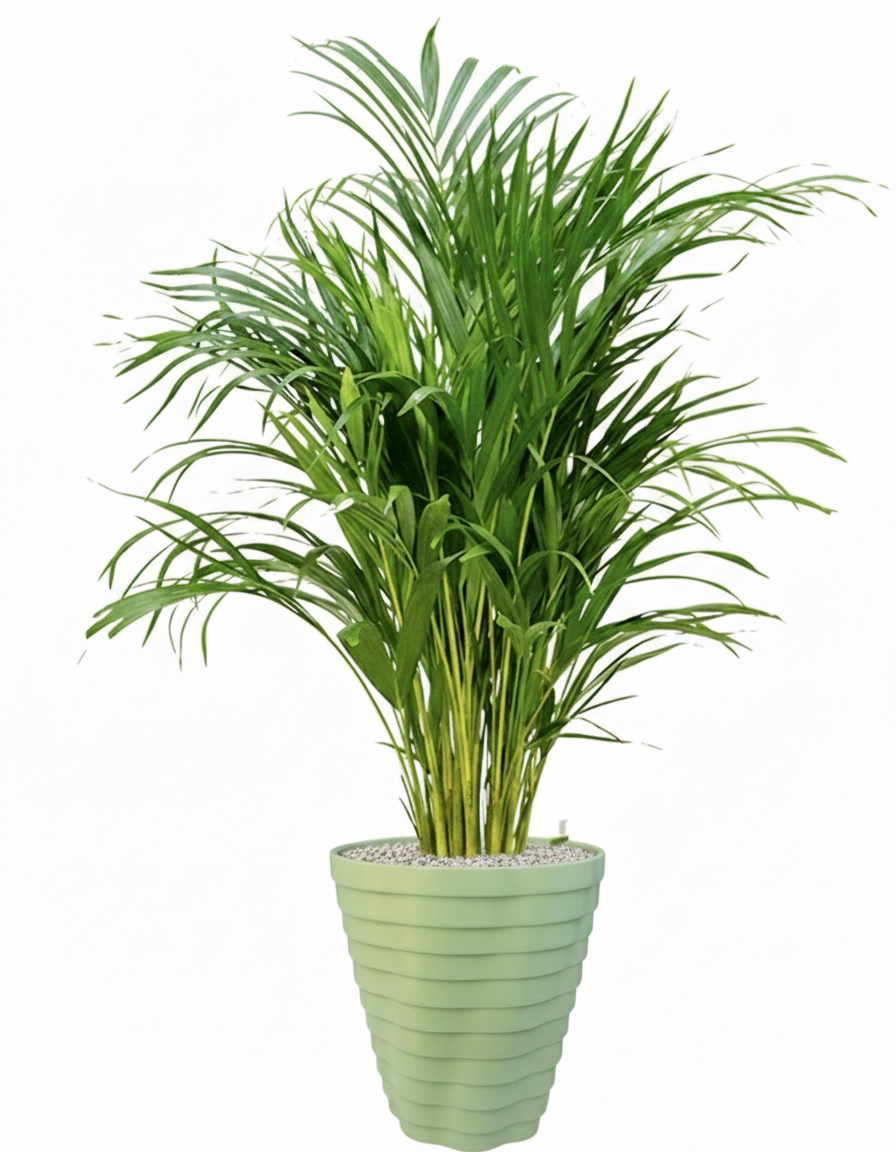 TEMPO Self-Watering Planter
