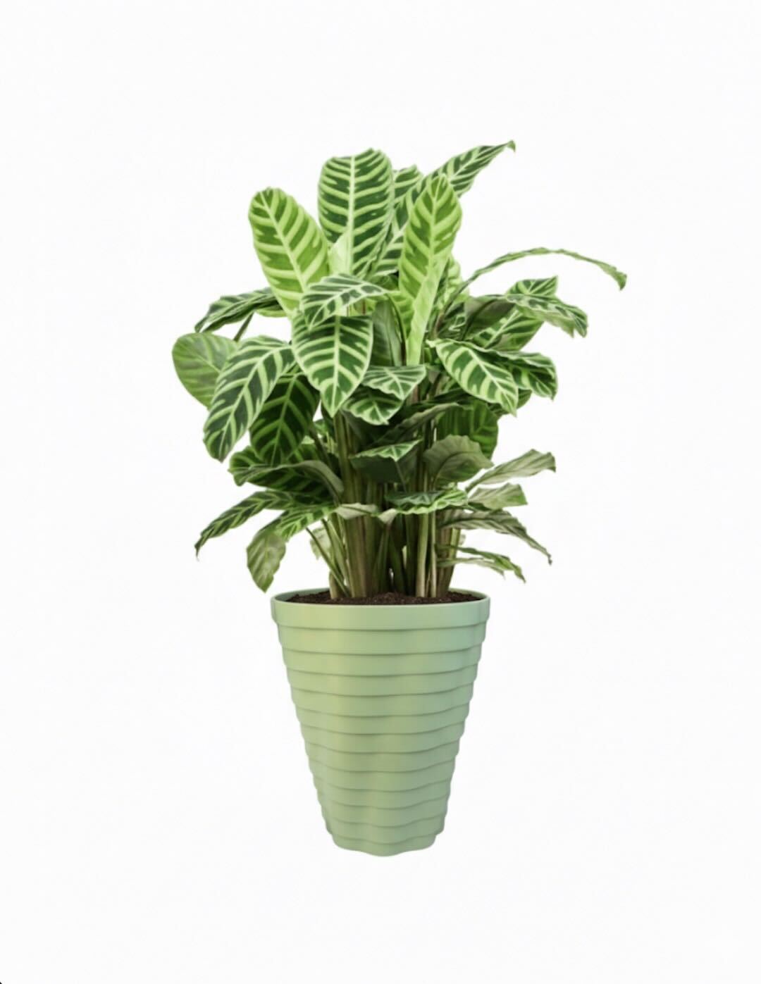 TEMPO Self-Watering Planter